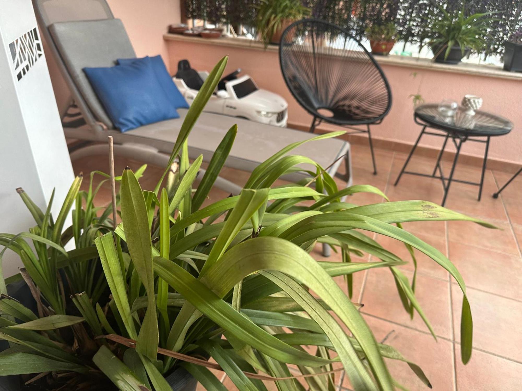 Flat With Jacuzzi - Casa Pia Appartement Mondello Buitenkant foto